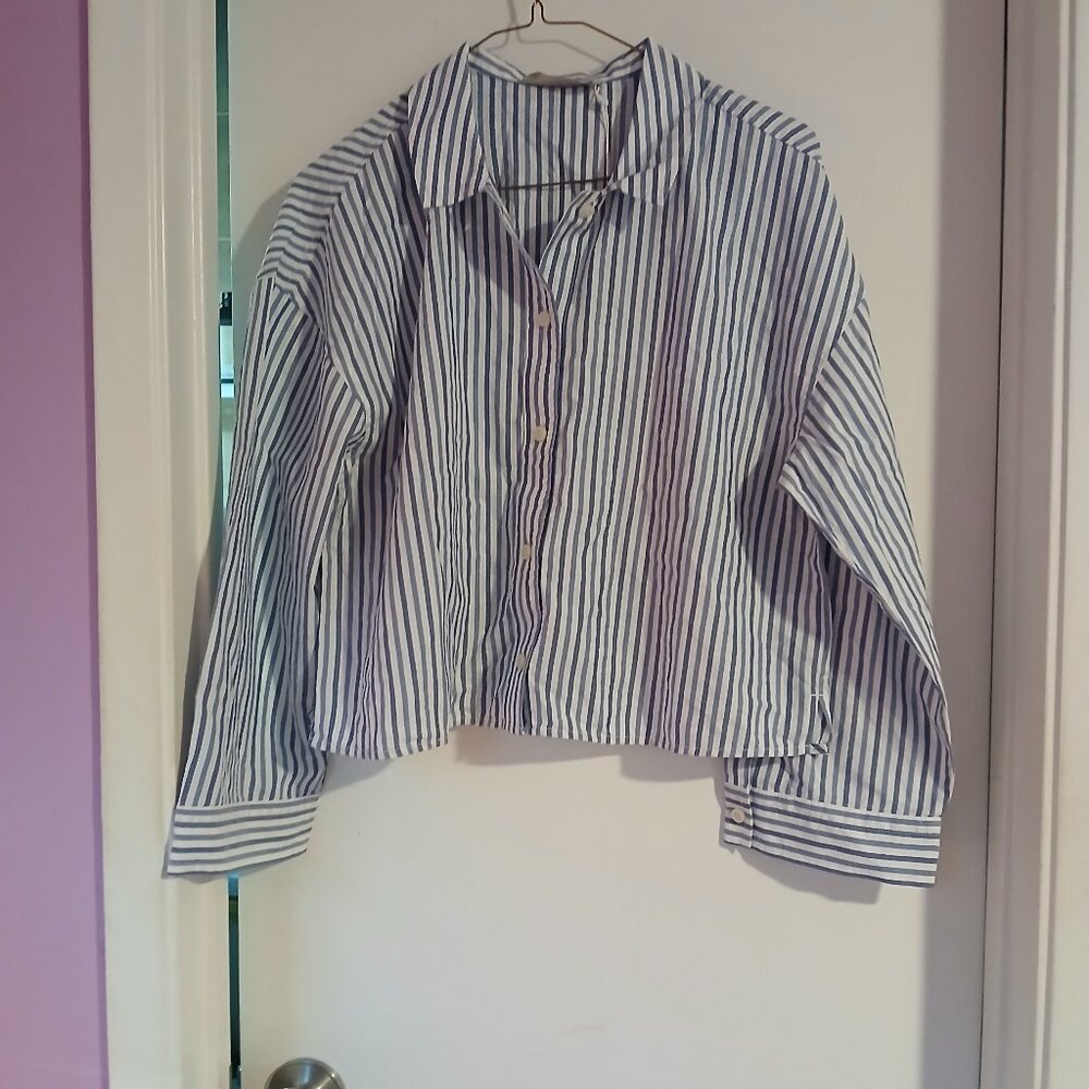 Everlane Women's Blue and White Stripe Cropped Button Down Top